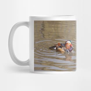 Mandarin Duck Mug